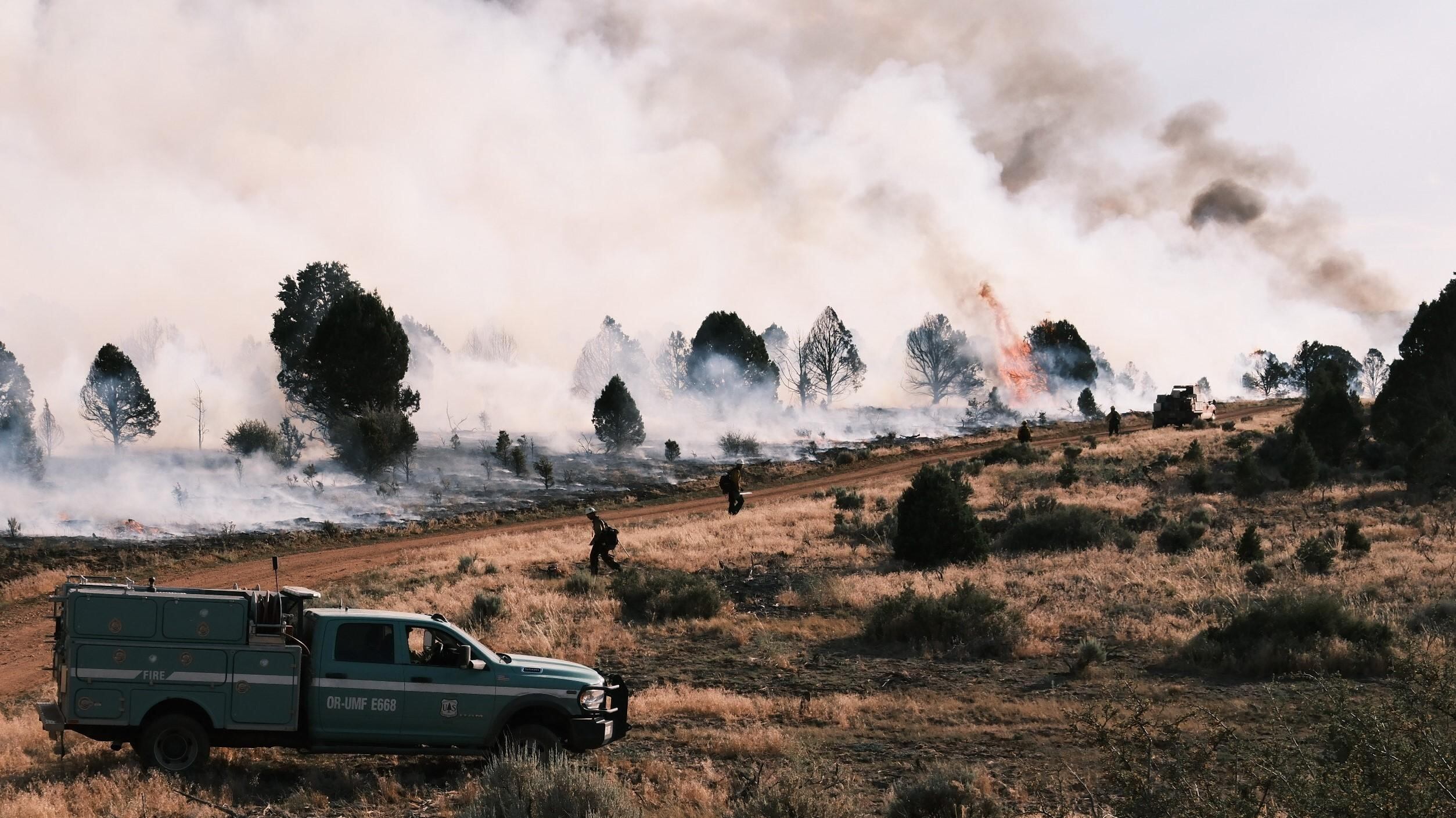 White Sage Fire Spreads to 59K Acres with 61% Containment in Northern Arizona
