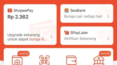 Cara Cepat & Mudah Transfer Saldo OVO ke ShopeePay