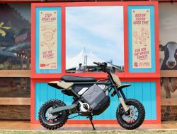 Harley-Davidson Unveils Two Electric Bike Concepts in India Harley-Davidson Unveils Two Electric Bike Concepts in India