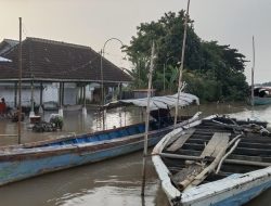 2.200 Hektare Lahan Gresik Tenggelam Akibat Abrasi, Sertifikat Ada Tapi Tanah Tak Terlihat 2.200 Hektare Lahan Gresik Tenggelam Akibat Abrasi, Sertifikat Ada Tapi Tanah Tak Terlihat