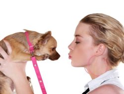 Science Reveals People’s Strange Desire to Date Their Pets
