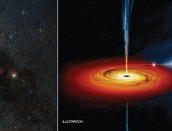 What If Black Holes Defy the Laws of Physics?