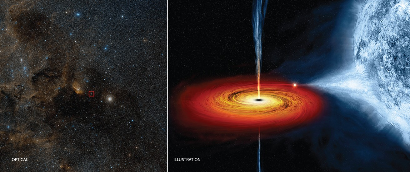 What If Black Holes Defy the Laws of Physics?