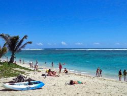 Shark Attack Research Grows on Réunion Island After Tragic Incidents Shark Attack Research Grows on Réunion Island After Tragic Incidents