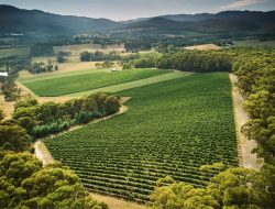 Australian Wines Head East