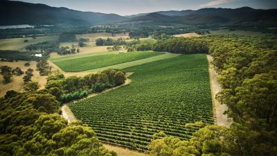 Australian Wines Head East