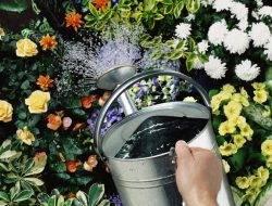 What to Know Before Trying Capsule Gardens in Your Yard What to Know Before Trying Capsule Gardens in Your Yard