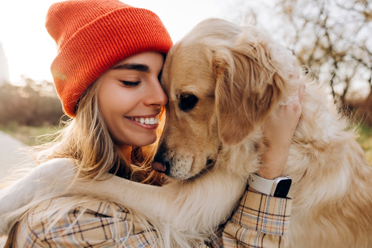 Golden Retriever’s Clever Ploy for Mom’s Full Attention