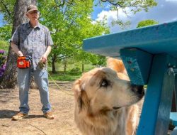 1,000 Dogs Join Groundbreaking Canine-Citizen Science Study to Detect Invasive Species