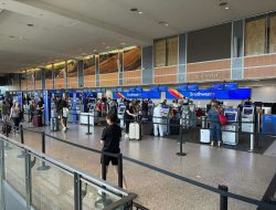 AUS Data Hub: Passenger Stats, Busy Months & New Flights in 2025 AUS Data Hub: Passenger Stats, Busy Months & New Flights in 2025