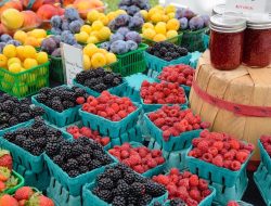 New Farmers Market at Merriweather District Features Fresh Produce, Baked Goods, and Drinks New Farmers Market at Merriweather District Features Fresh Produce, Baked Goods, and Drinks