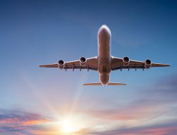 High-Value Travelers Boost Airline Earnings in Downturn High-Value Travelers Boost Airline Earnings in Downturn