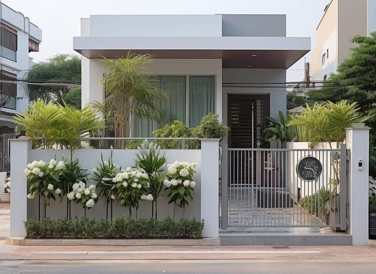 Tanaman Pagar Tahan Panas untuk Rumah Sejuk dan Menarik
