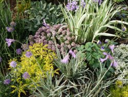 Mulch to Avoid in Warm Climates Mulch to Avoid in Warm Climates