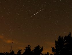 Perseid Meteor Shower Begins: What You Must Know
