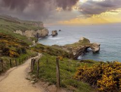 New Zealand’s Scenic Heritage Trail: Discover a Petrified Forest and Rare Wildlife