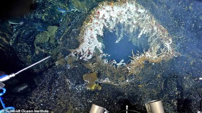 Warning: Underwater Volcano Near US West Coast Shakes 300 Quakes