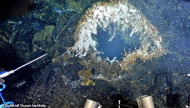 Warning: Underwater Volcano Near US West Coast Shakes 300 Quakes