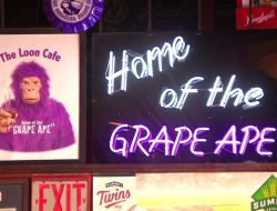 The “Grape Ape” Celebrates 30 Years at Loon Cafe’s Vikings Games The “Grape Ape” Celebrates 30 Years at Loon Cafe’s Vikings Games