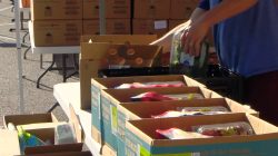 Mobile Food Pantry Delivers to Multiple Sites After Friday Cancellations