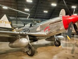 P-51 Mustang: The Ultimate WWII Fighter? P-51 Mustang: The Ultimate WWII Fighter?