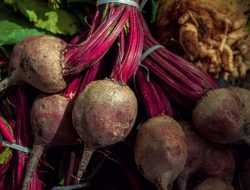 Yes, Some Tractor Tires Are Filled With Beet Juice – Here’s Why