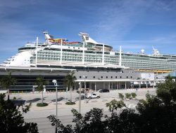 Mystery virus sickens 145 on Irish cruise ship Mystery virus sickens 145 on Irish cruise ship