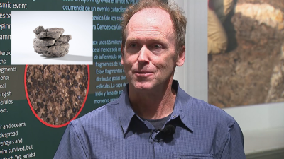 Dinosaur Fossil Found in Denver Parking Lot Makes History