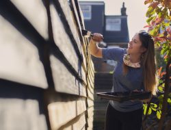 How HGTV Stars Enhance Home and Garden Privacy How HGTV Stars Enhance Home and Garden Privacy