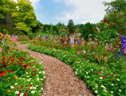 What to Know Before Using Pine Bark Mulch in Your Garden