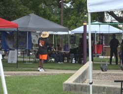 Bookerfest Cultural Celebrations Flourish in Rockford