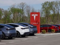 Tesla faces surprising sales setback in major market: ‘Good riddance’