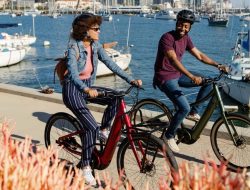 Stop Riding These Giant E-Bikes – Take Them to Your Dealer Now