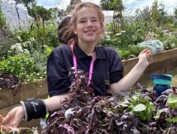 Special Needs School Garden Wins Top Flower Show Honor