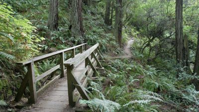 Popular Mount Tam Trail Suddenly Closed Over Unsafe Conditions