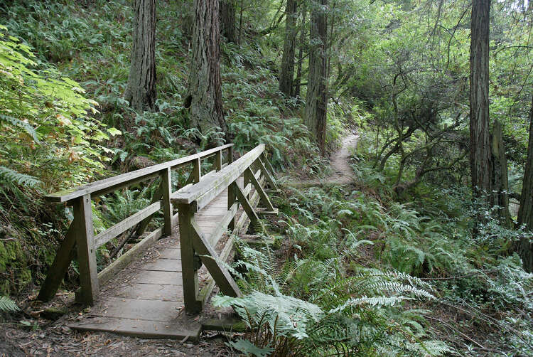Popular Mount Tam Trail Suddenly Closed Over Unsafe Conditions