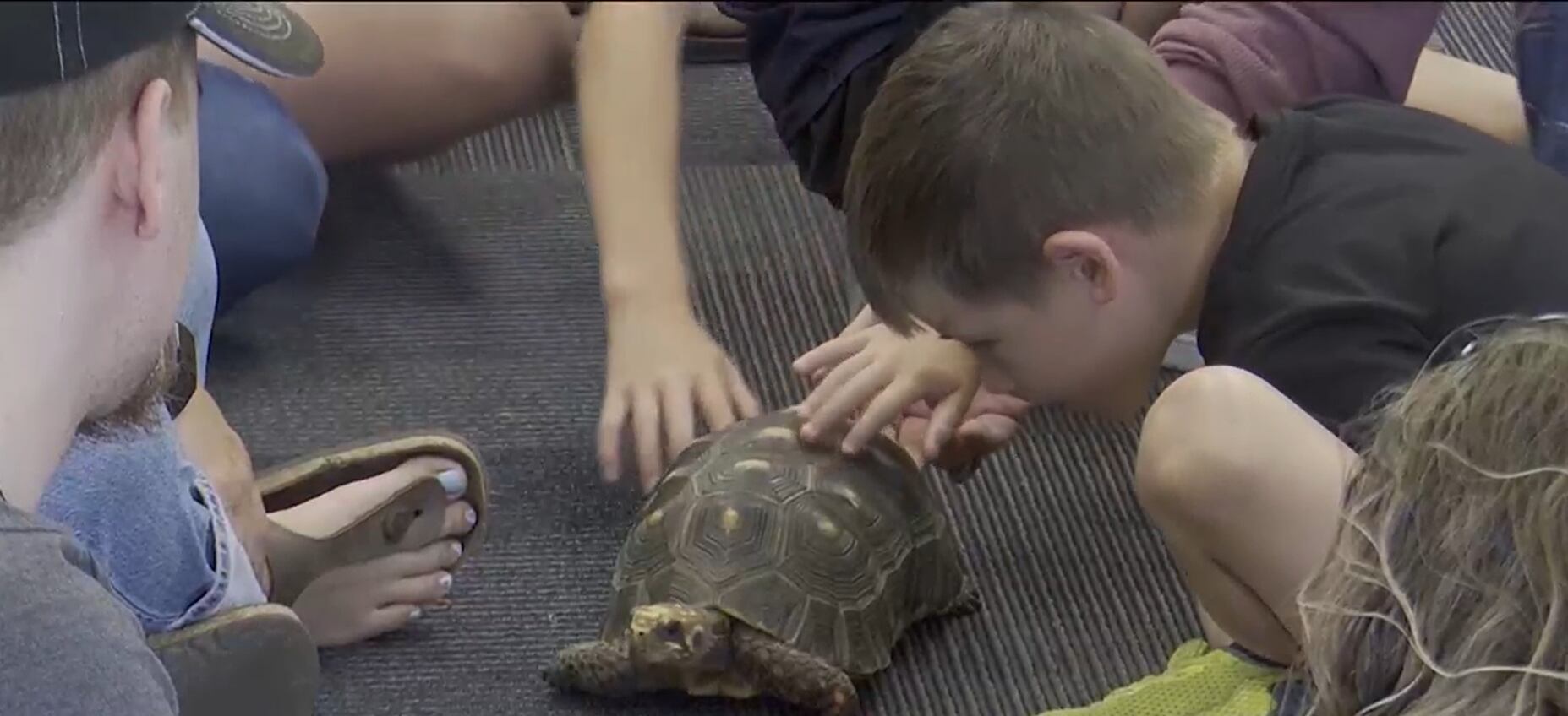 Discovering a Passion for Science Through the Annual Science Alive Program
