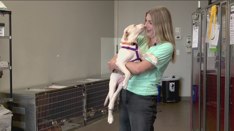 MN groups rescue dozens of dogs and cats from death