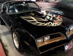 What Bird Is Behind Pontiac’s Firebird Logo? What Bird Is Behind Pontiac’s Firebird Logo?
