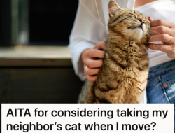 Cat Shows Up at Their Door, But They Discover the Surprising Truth