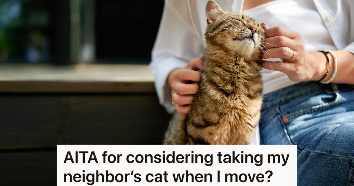 Cat Shows Up at Their Door, But They Discover the Surprising Truth