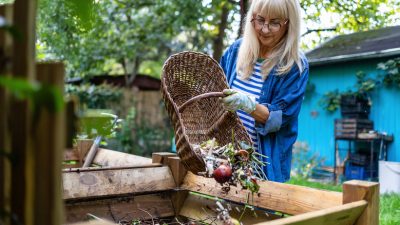 Toss Tissue Paper into Your Garden Compost Instead of the Trash