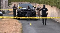 Two Women, One Girl Killed in Renton Shooting, Suspect at Large