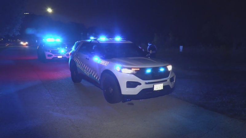 Woman in Custody as Homicide Probe Begins After Baby Drowns in Chicago Lake