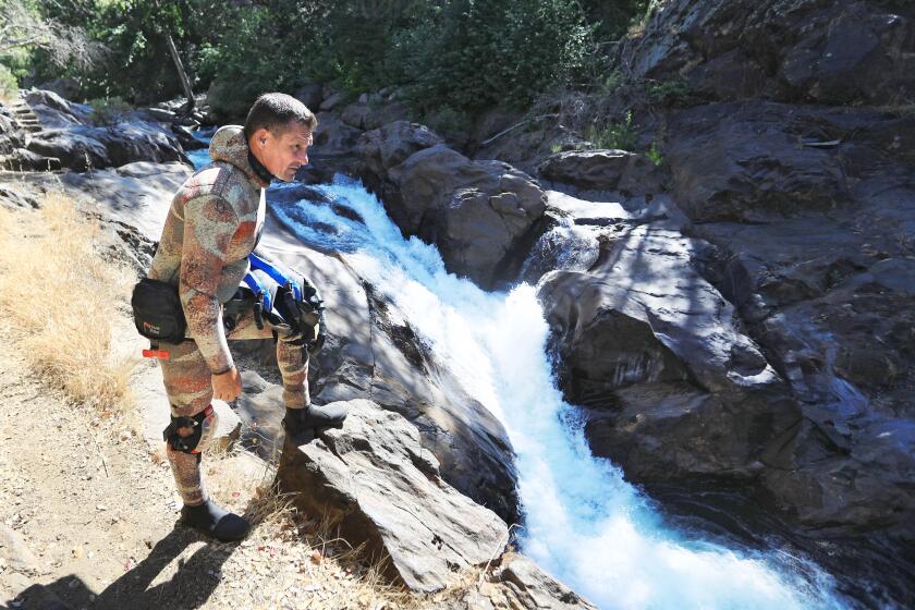 The River Took Her Sister. A Stranger Dived In to Bring Her Home