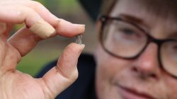 Ancient Ringfort Unearthed in Galway by Irish Archaeologists