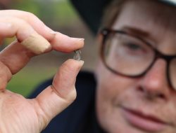Ancient Ringfort Unearthed in Galway by Irish Archaeologists