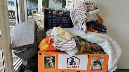 Charity Urges Direct Bedding Donations to Site