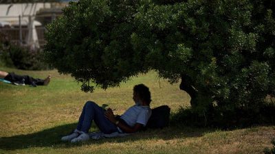 Heat refuge: Where to flee when the sun beats down?