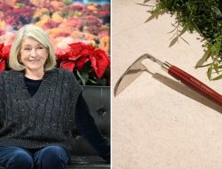 Martha Stewart’s 1980 Favorite Weeding Tool Now 